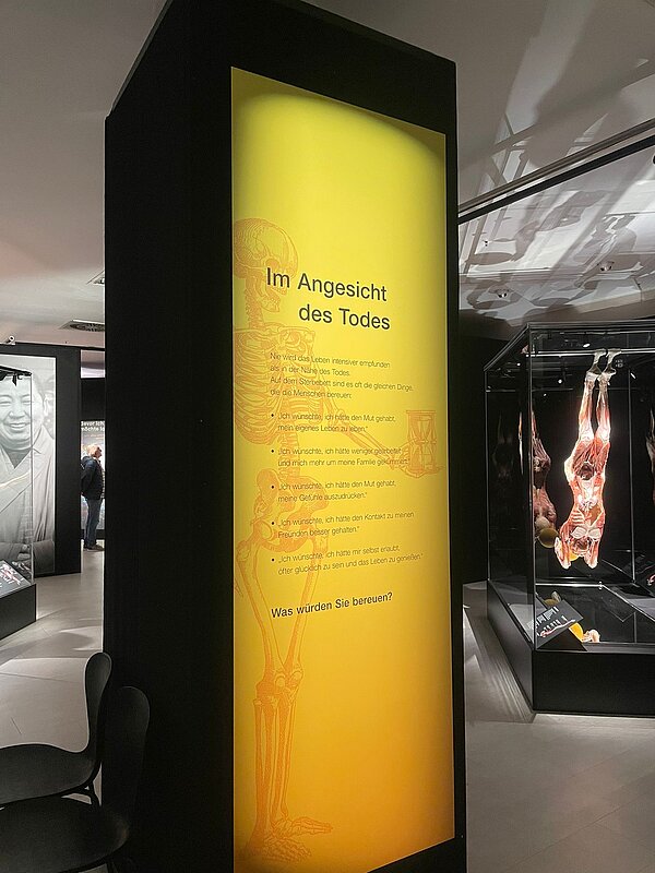 Gelb beleuchtete Texttafel in einer Ausstellung mit der Überschrift „Im Angesicht des Todes“, daneben eine schemenhafte Skelettgrafik; im Hintergrund sind weitere Exponate und Besucher in abgedunkelten Räumen zu sehen.