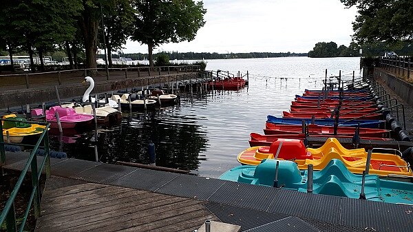 Corona und der Sport