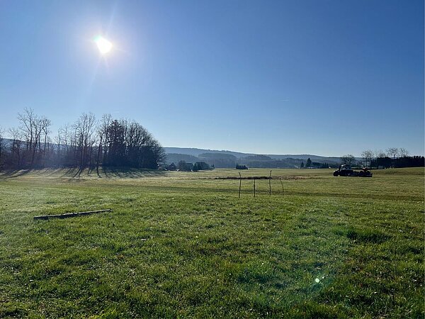 Eine grüne Wiese erstreckt sich über eine hügelige Landschaft. Im Hintergrund sind Bäume ohne Laub und ein Traktor zu sehen. Die Sonne scheint und der Himmel ist blau.