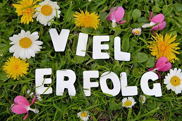 Letzter Level: Abschlussprüfung! Weiße Buchstaben liegen auf einer grünen Wiese und bilden die Worte "Viel Erfolg". Auf der Wiese zu sehen sind außerdem Gändeblümchen, Löwenzahn und Veilchen.