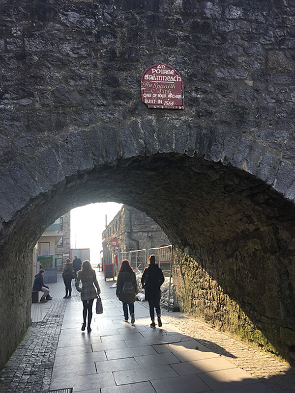 Exkursion nach Irland