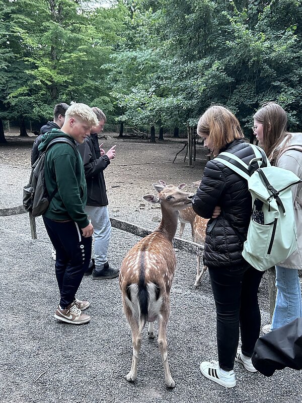 Auszubildende füttern und streicheln Rehe.