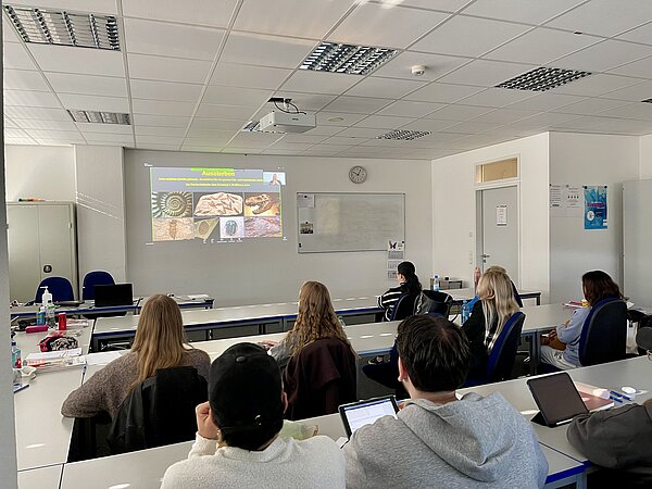 Euro Akademie Aschaffenburg will Klimaschule werden Eine Gruppe von Studierenden arbeitet konzentriert im Unterricht. Auf der Leinwand ist weiterhin die Präsentation zum Thema „Aussterben“ mit Fossilienabbildungen zu sehen.