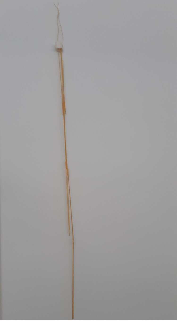 Die “Marshmallow Challenge 2.0” Liegender Marshmallow-Turm