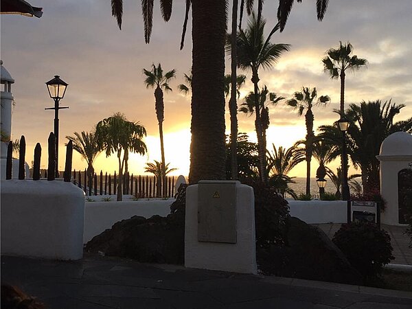 Mehrere Palmen, Teile einer weißgetünchten Mauer und eine Straßenlaterne sind im Licht eines Sonnenuntergangs zu sehen. Im Hintergrund ist das Meer zu erahnen.