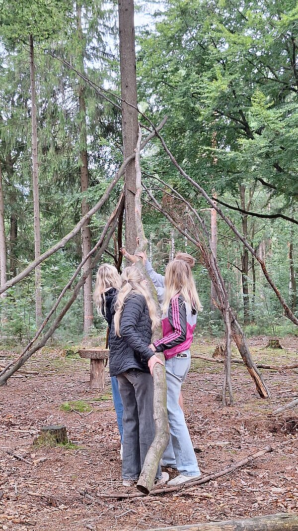 Mehrere Jugendliche stellen lange Äste an einen Baumstamm und arbeiten gemeinsam an einer provisorischen Waldhütte.