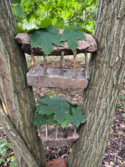 Zwei im Wald erstellte Baumfenster vom Kunstprojekt unserer Klassen.