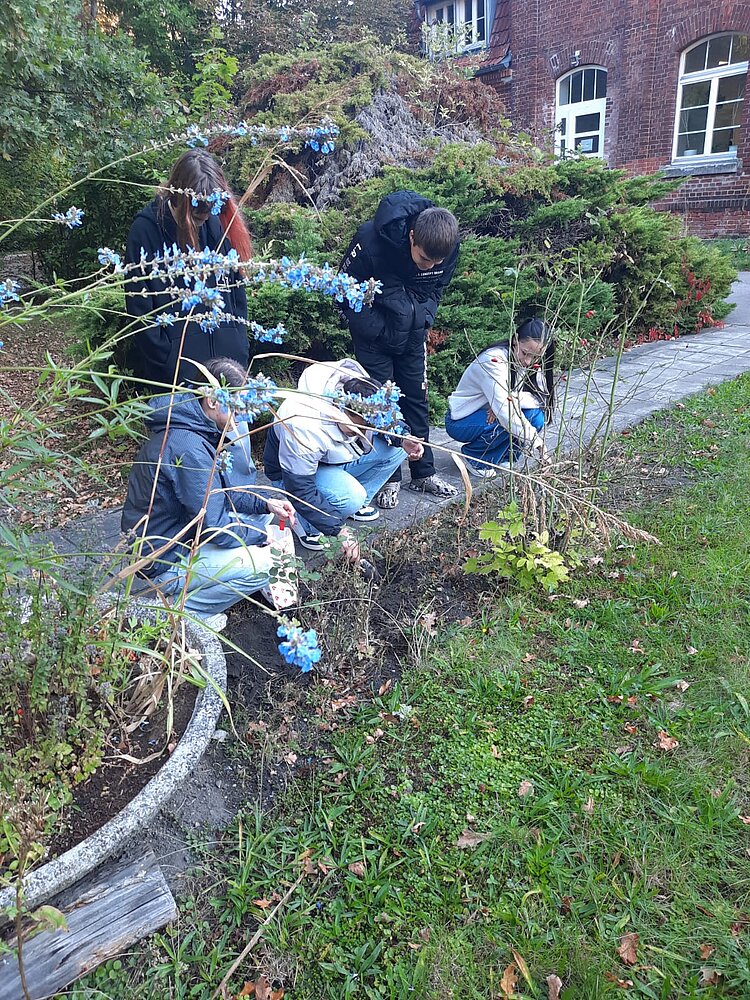 Junge Menschen pflanzen und pflegen Blumen in einem Beet vor einem historischen Backsteingebäude. Einige knien, andere stehen und schauen zu. Im Vordergrund sind blaue Blüten zu sehen, die das Bild farblich beleben.