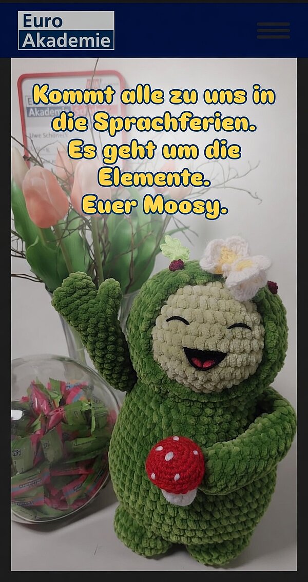 Screenshot einer Euro-Akademie-Story mit der grünen Figur „Moosy“ und dem Text zur Einladung in die Sprachferien.
