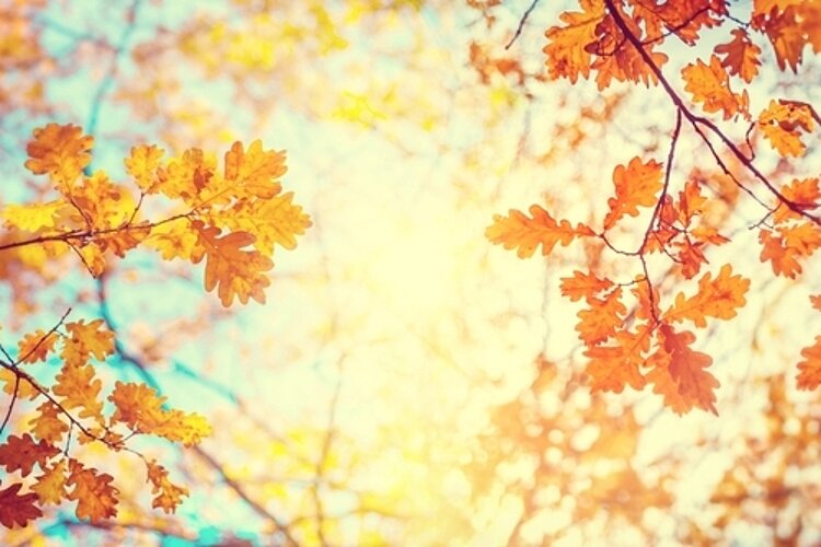 Willkommen zurück aus den Herbstferien!