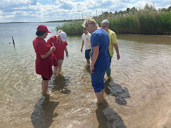 Ein Sinneskreis am Goitzsche-Strand: Lernen, Fühlen, Erleben! Eine Gruppe von fünf Personen steht im flachen Wasser eines Sees. Alle tragen bunte Oberteile, im Hintergrund Wasser, Schilf und blauer Himmel.