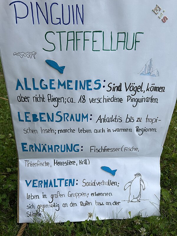 Selbst gestaltetes Plakat mit Informationen über Pinguine für einen Staffellauf. Das Plakat enthält Fakten zu Lebensraum, Ernährung und Sozialverhalten von Pinguinen, verziert mit kleinen Zeichnungen und Dekoelementen.