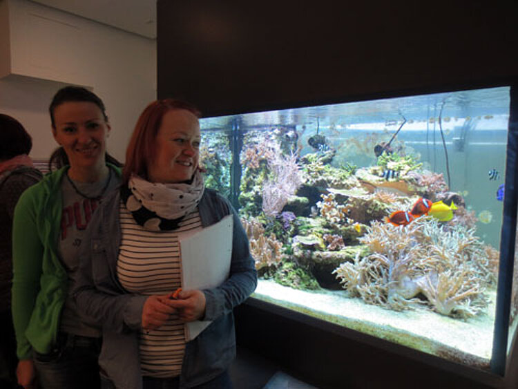 Berufspraktischer Unterricht im Naturkundemuseum