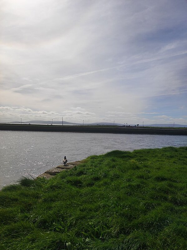 Blick auf eine Hafeneinfahrt oder einem Meerarm. Im Vordergrund ist eine grüne Wiese und ein Stück einer Mauer zu sehen, auf der ein Vogel sitzt. Im Hintergrund befinden sich eine Mole und dahinter sind Berge zu sehen. Die Sonne scheint und es sind Schleiherwolken am Himmel.