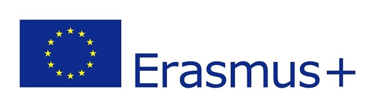 Auslandspraktikum über Erasmus+