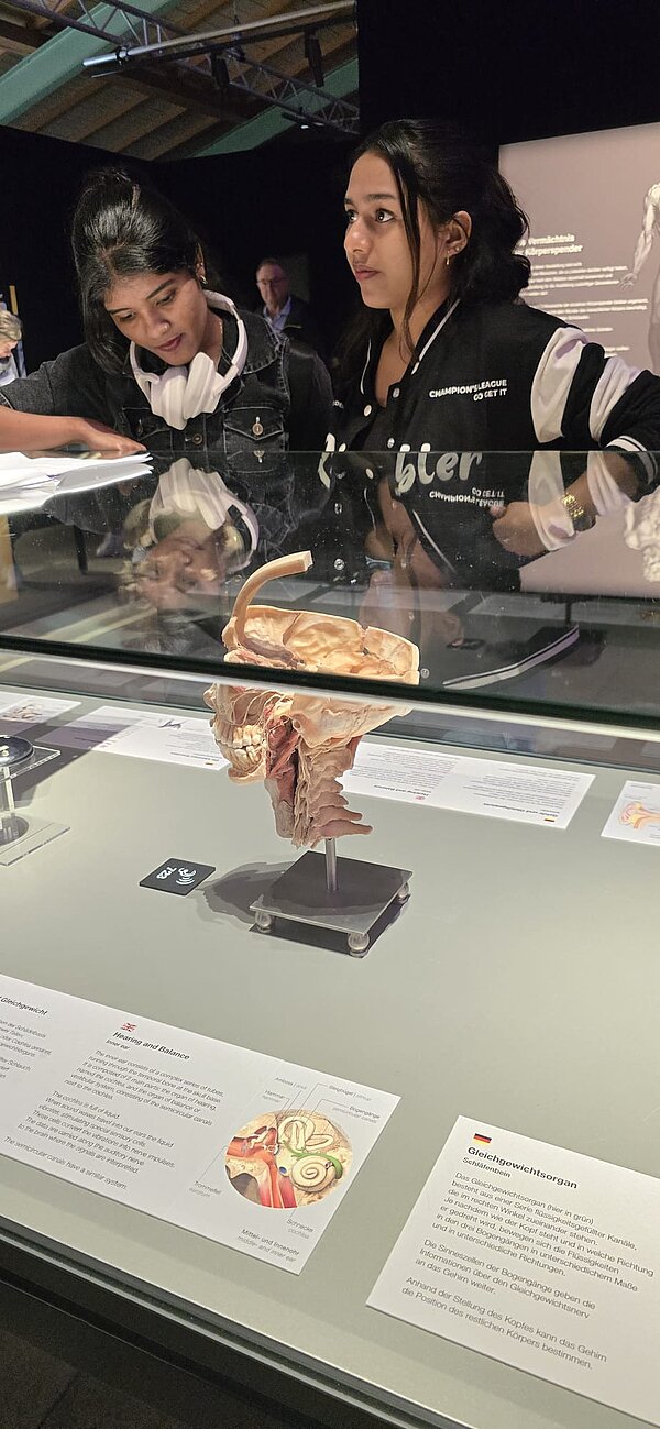 Zwei Schülerinnen beugen sich über eine Vitrine in der Ausstellung "Körperwelten" und betrachten ein anatomisches Exponat, das auf einem Sockel präsentiert wird. Im Hintergrund sind weitere Ausstellungsstücke und Infotafeln mit Erklärungen zu den Exponaten sichtbar.