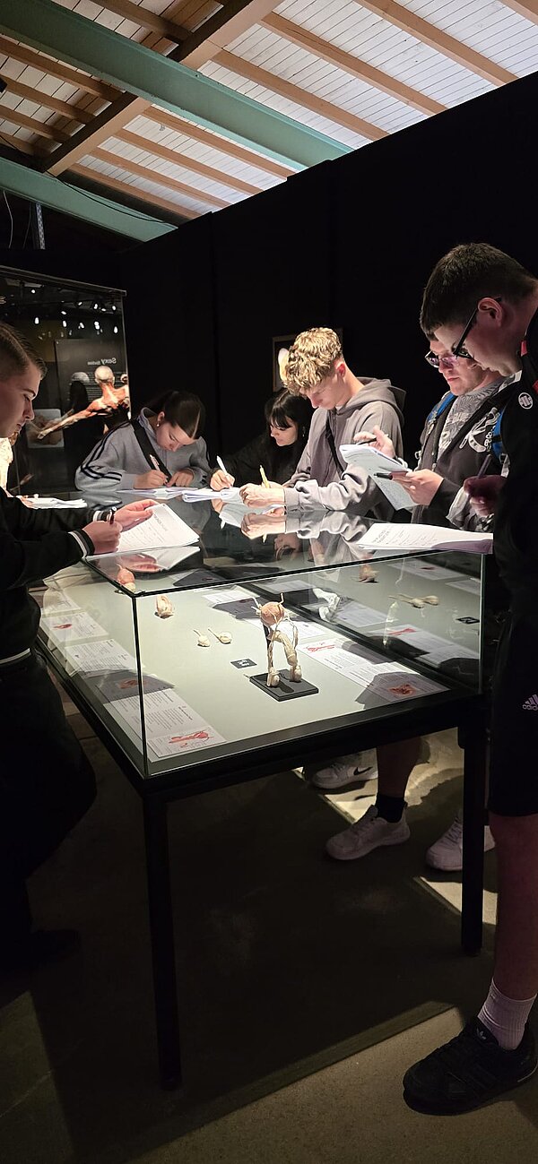 Eine Gruppe von jungen Erwachsenen steht um einen Glastisch herum, auf dem mehrere anatomische Exponate ausgestellt sind. Die Personen machen sich Notizen und studieren die Ausstellungsstücke intensiv. Die Atmosphäre wirkt konzentriert und lehrreich.