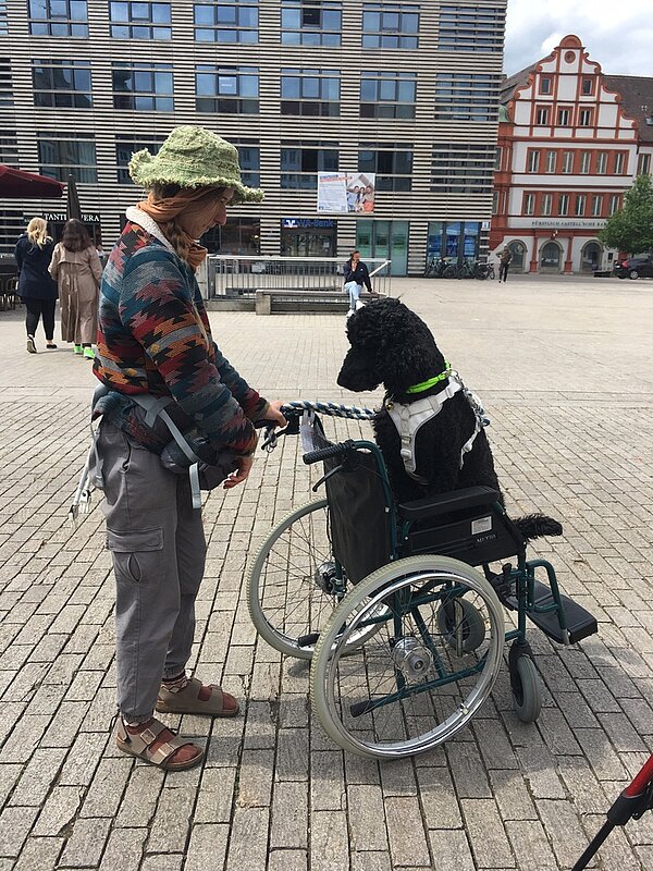 Protesttag zur Gleichstellung von Menschen mit Behinderung: Buttons für Inklusion Ein schwarzer Königspudel hat es sich in einem Rollstuhl bequem gemacht. Er wird von einer Frau in Outdoorkleiduing und mit einem grünen Hut festgehalten.