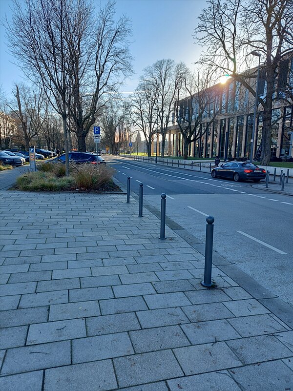 Praxis – „nah“: Besuch im RMCC in Wiesbaden fDer Blick über die Straße zeigt zum Rhein Main Congress Center. Die Bäume davor tragen keine Blätter, über dem Gebäude zeigt sich die aufgehende Wintersonne.