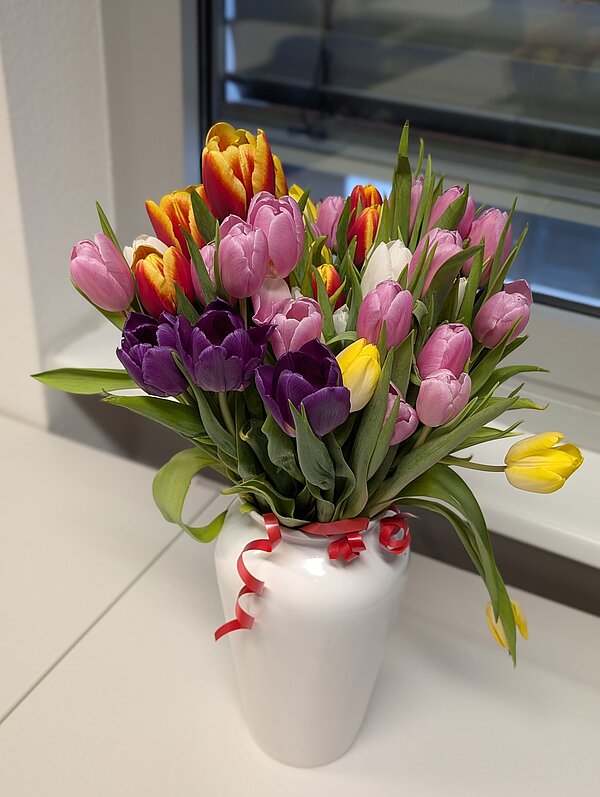 Ein Strauß bunter Tulpen in einer weißen Vase mit einer roten Schleife, die auf einem weißen Schreibtisch steht.