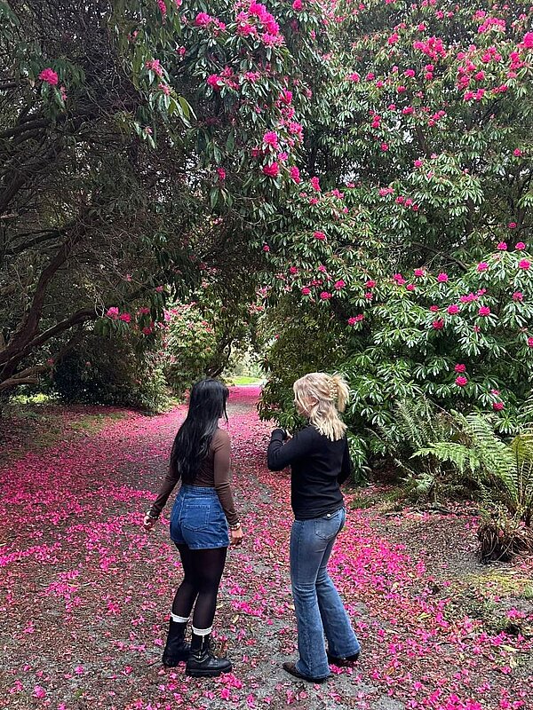 Zwei Frauen gehen auf einem mit pinken Rhododendronblüten übersäten Waldweg. Die Bäume sind üppig mit blühenden Zweigen bedeckt, und der Boden ist mit abgefallenen Blütenblättern bedeckt. Die Atmosphäre wirkt friedlich und natürlich.