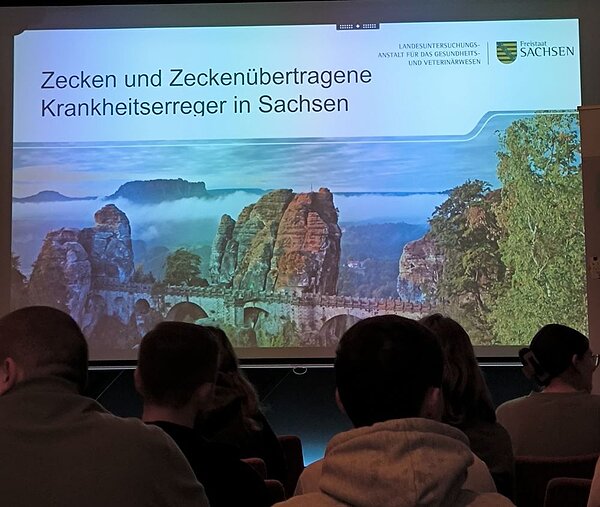 Tag des Gesundheitsamts in Weißwasser Teilnehmerinnen und Teilnehmer sitzen in einem abgedunkelten Raum und schauen auf eine große Leinwand mit einer Präsentation zum Thema „Zecken und zeckenübertragene Krankheitserreger in Sachsen“ mit dem Logo des Freistaats Sachsen.