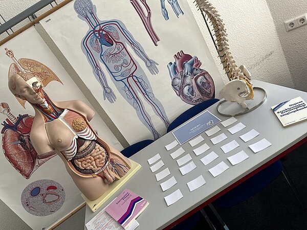 Tag der offenen Tür Tisch mit informationskarten, einer anatomischen Wirbelsäule und einem Torso aus Plastik sowie einem großen Poster zur menschlichen Anatomie im Hintergrund.
