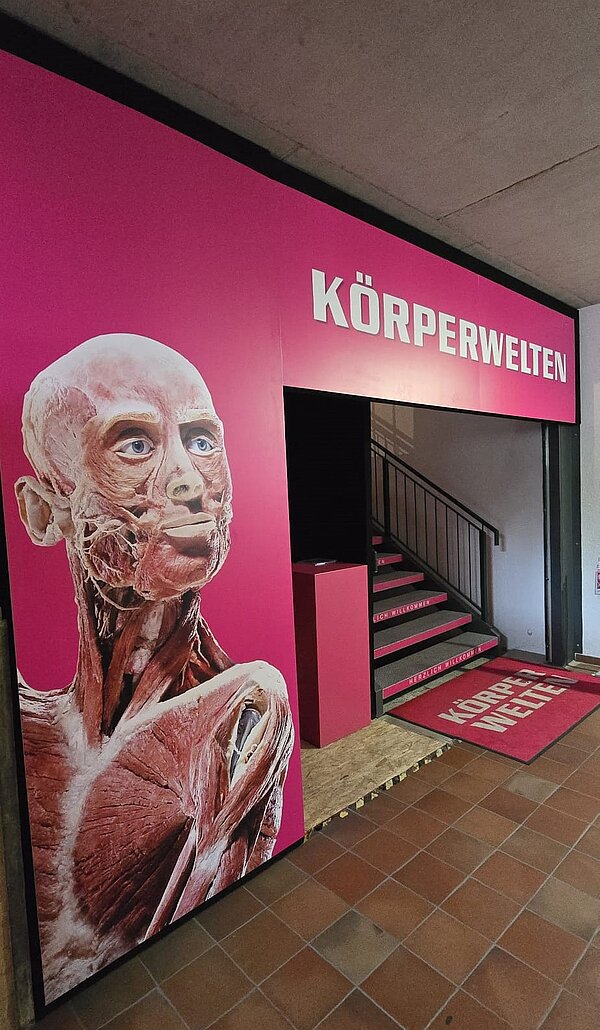 Der Eingang zur Ausstellung "Körperwelten" mit einem großen, pinken Banner, auf dem der Titel der Ausstellung in weißen Lettern steht. Daneben ist ein detailreiches anatomisches Modell einer menschlichen Figur zu sehen. Eine Treppe mit der Aufschrift "Herzlich Willkommen" führt in den Ausstellungsbereich hinauf.
