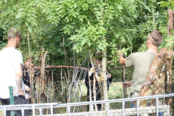 Ich glaub', mich knutscht ein Schaf – eine Kennenlernwoche auf der Wiese