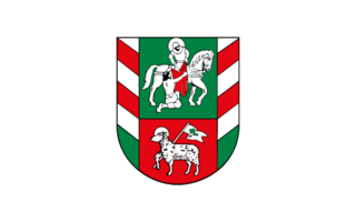 Stadt Oberlungwitz