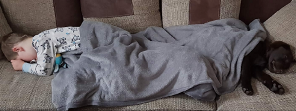 Wenn Glück auf vier Pfoten daher kommt