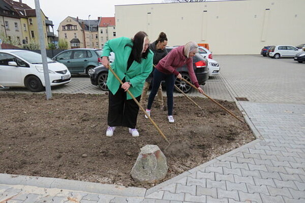 Aktion "Wildblumenwiese": Ackern für den Earth Day