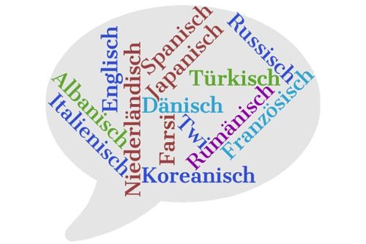 Zwei spannende Monate an der Euro Akademie