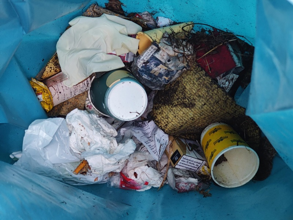 Tag der sauberen Umwelt