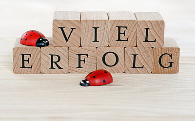 Holzwürfel mit der Aufschrift 'VIEL ERFOLG' und zwei roten Glücksbringer-Marienkäfern darauf, die auf einem hellen Holzuntergrund platziert sind.