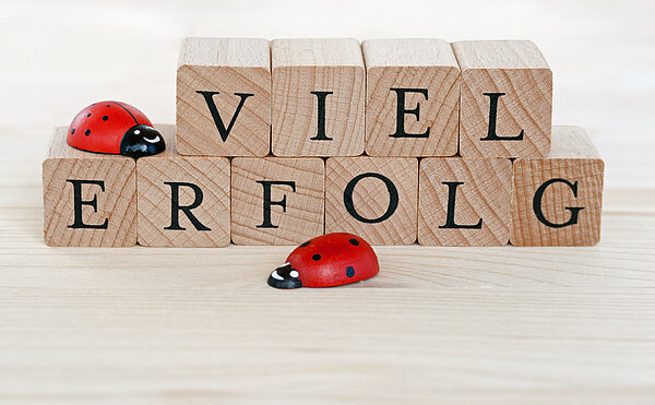 Holzwürfel mit der Aufschrift 'VIEL ERFOLG' und zwei roten Glücksbringer-Marienkäfern darauf, die auf einem hellen Holzuntergrund platziert sind.