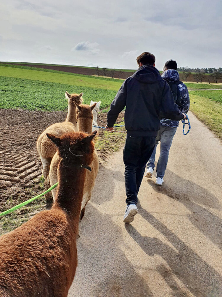 Mentale Auszeit mit Fellgenossen und -nasen