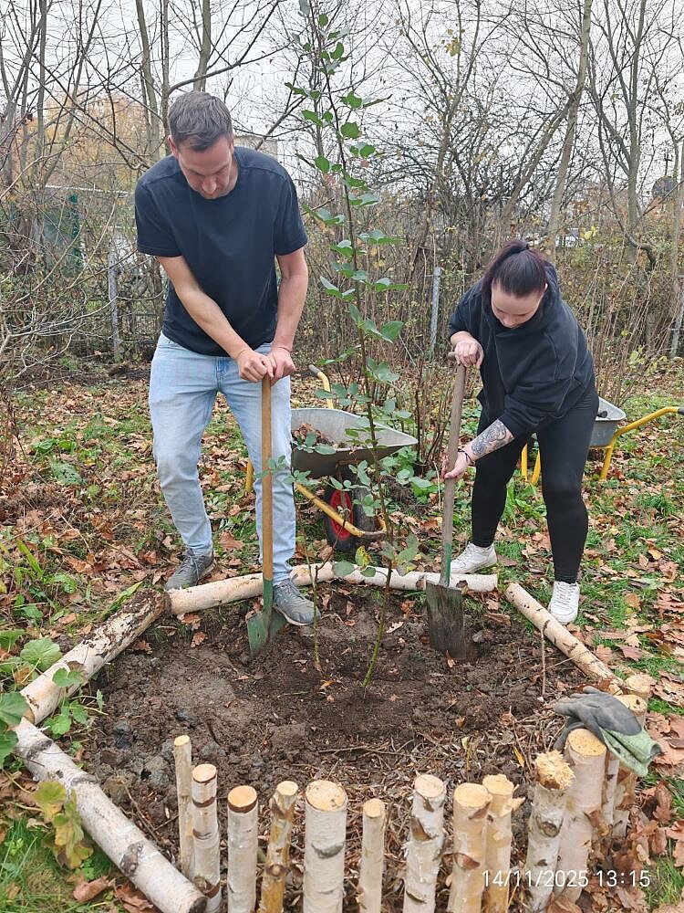 Zwei Personen arbeiten gemeinsam im Garten. Eine Person mit einem Spaten und eine andere mit einer Harke pflanzen oder bearbeiten einen jungen Baum oder Strauch in einem mit Holzästen umrandeten Beet. Im Hintergrund stehen ein Schubkarren und weitere Gartengeräte. Die Szene spielt in einem naturnahen Gartenbereich mit Laub auf dem Boden und Bäumen im Hintergrund.