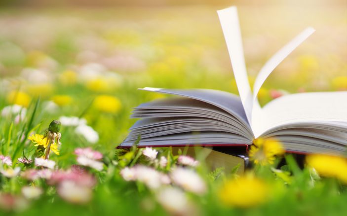 Ein aufgeschlagenes Buch liegt bei Sonnenschein in einer Frühlingswiese mit Löwenzahn und Gänseblümchen.