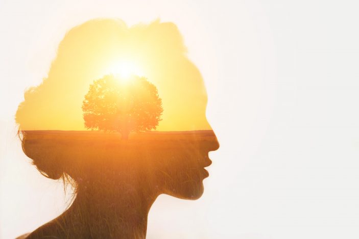 Trauma verarbeiten: Wie du Regulation, Ressourcen und Selbstfürsorge stärkst (Teil 2) Silhouette eines Frauenkopfs im Profil, darin ist eine strahlende Sonne hinter einem Baum zu sehen und alles ist in warmes Licht getaucht.